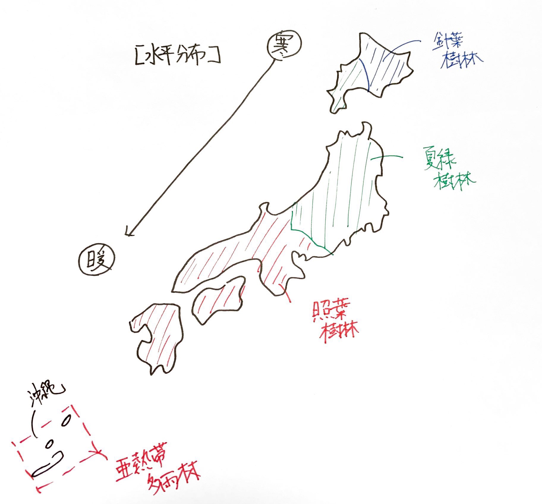 生物基礎 バイオームの覚え方 考え方 ココミロ生物 高校生物の勉強サイト